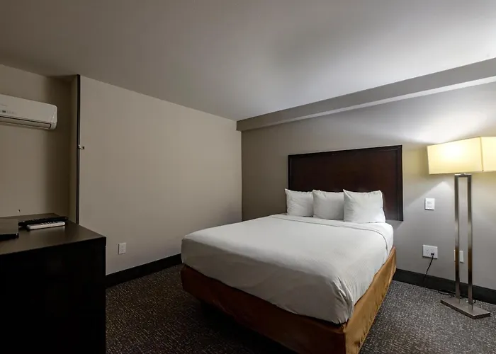Premium Two-Bedroom King Suite